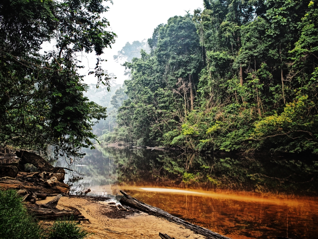 Taman Negara Kuala Tahan - Lubok Simpon